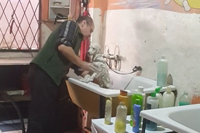 Pet Groomer Gets Secretly Filmed On The Job And Video Is Going Viral Pet Groomer Gets Secretly Filmed On The Job And Video Is Going Viral