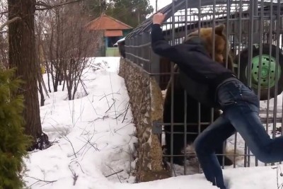 Russian Man Tries To Pet A Bear, Then Bear Grabs Him Russian Man Tries To Pet A Bear, Then Bear Grabs Him