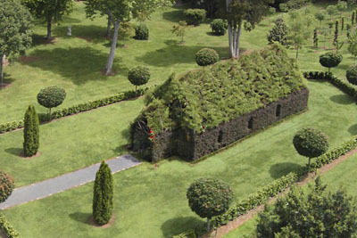 Man Spends 4 Years Building A Church Using Only Living Trees. Take A Look Inside! Man Spends 4 Years Building A Church Using Only Living Trees. Take A Look Inside!