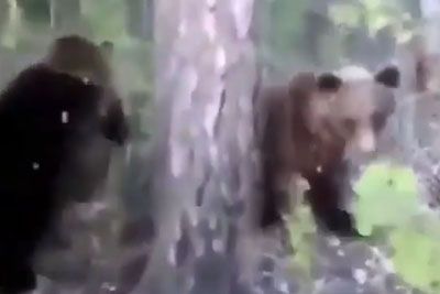 V gozdu je hodil za medvedom, nato ga je brcnil: Neumnost je takoj obžaloval!