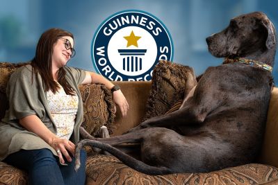 Spoznajte nemško dogo po imenu Zeus, ki je najvišji pes na svetu