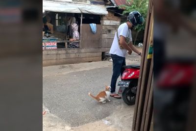 Moški je sedel na motor: Kar je naredila njegova mačka, obkroža splet!