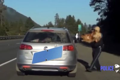 Policist ujel psa, ki je med kontrolo prometa skočil iz vozila