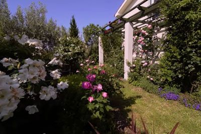VIDEO: Čudovit vrt na slovenski obali: Lastnica na njem skrbi za 200 vrtnic!