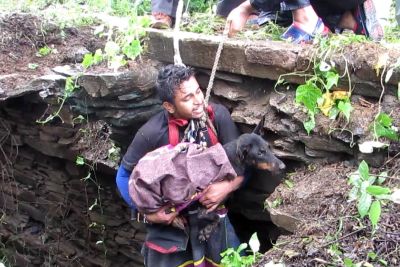 Kuža je padel v vodnjak: Ljudje so mu priskočili na pomoč in rešili življenje!