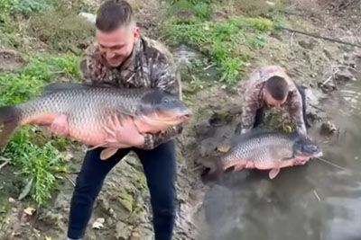 Ribič iz Srbije ujel in izpustil orjaškega krapa: »To je riba življenja«