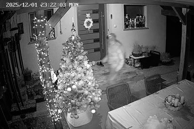 Hudobija brez meja: Izpred hiše na Dolenjskem ukradel božično smrečico