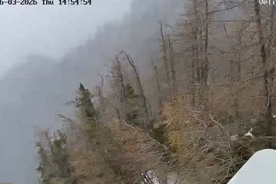 Silovit veter podiral drevesa: kamera ujela prizor na Veliki planini