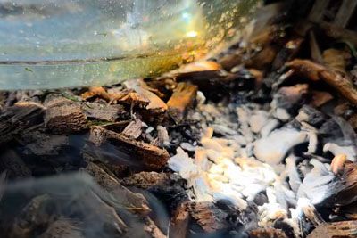 Ljubljančan Ivan skoraj zažgal vrt: Napaka, ki vas lahko stane hiše