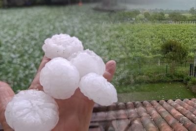Hudo neurje v Italiji: Več kot 5 cm debela toča močno oklestila znane vinograde