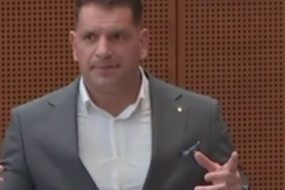 Zoran Stevanović brez dlake na jeziku: To je povedal o priseljevanju v Sloveniji