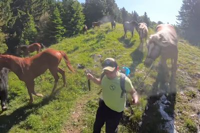 Slovenec tekel ob čredi konj: Posnetek, ki je navdušil ljubitelje živali