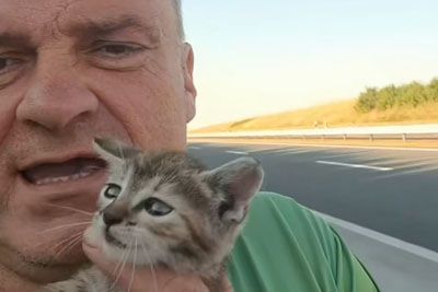 Hrvaški veterinar tvegal življenje: Tekel po avtocesti, da bi rešil mačjega mladiča