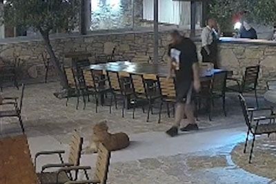 Kuhar na Hrvaškem ujet na kamero: To je storil s psom, ki je ležal na terasi