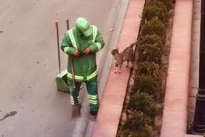 Komunalni delavec ujet na kamero, to je počel z mačko: Zdaj žalosten konec