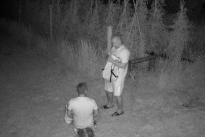 Nočna tatova posnela kamera: Na njivi pokradla večjo količino paradižnika