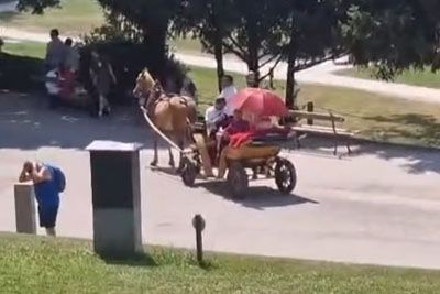 Konji na Bledu v hudi vročini prevažajo turiste: »Vse naj vas bo sram«