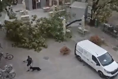 Pretresljiv posnetek iz Ljubljane: Med neurjem padlo drevo, skoraj pokopalo kolesarja