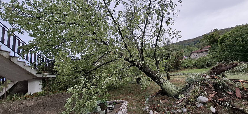 Tornado izruval drevesa na območju Kodretov