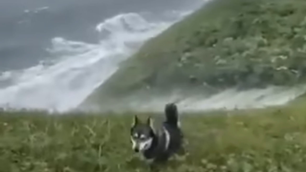 Sprehajal je psa, ko je obalo po potresu v Rusiji zadel cunami