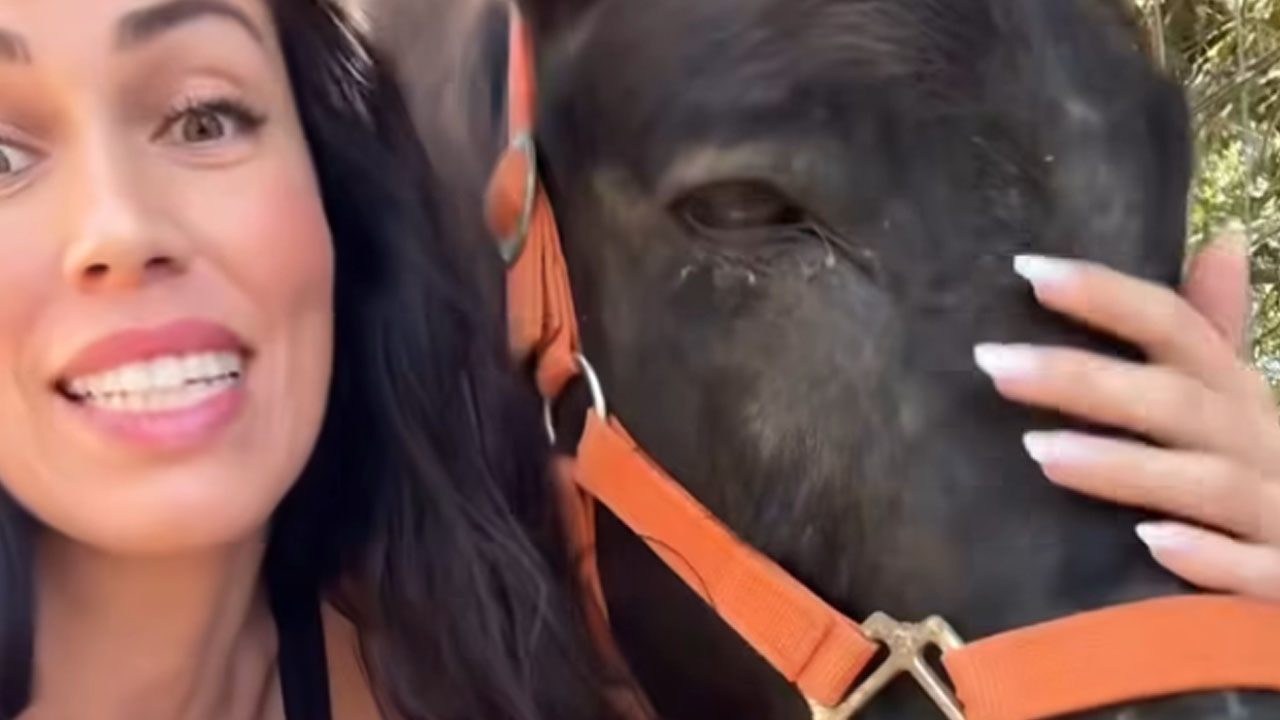 Tina Gaber se je odzvala na žaljivke in objavila simpatičen posnetek z mulo