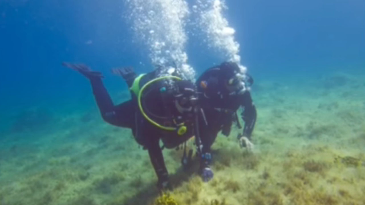 Nataša Pirc Musar med potapljanjem na hrvaškem otoku Pag