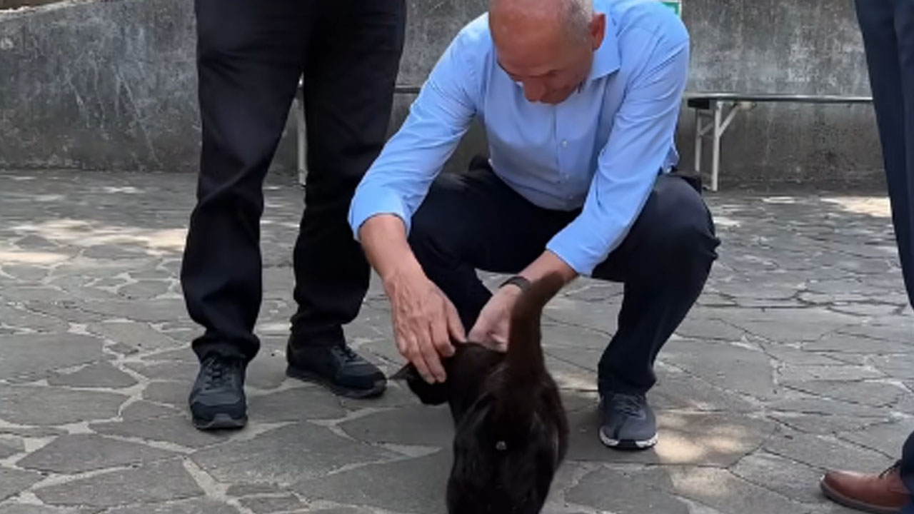 Janez Janša pokazal ljubezen do mačke, obiskala ga je med druženjem