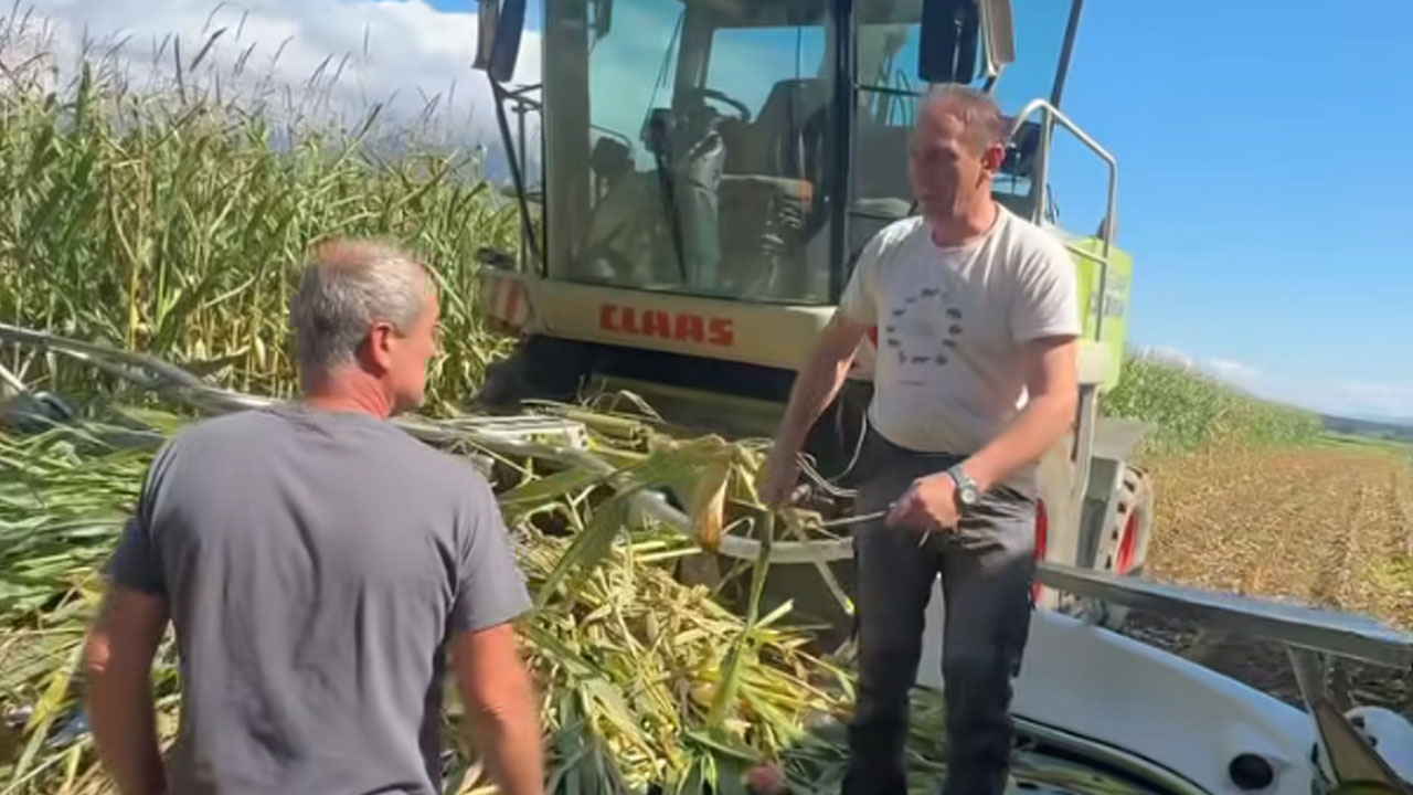Gorenjski kmet je med žetvijo koruze v polju naletel na železno past