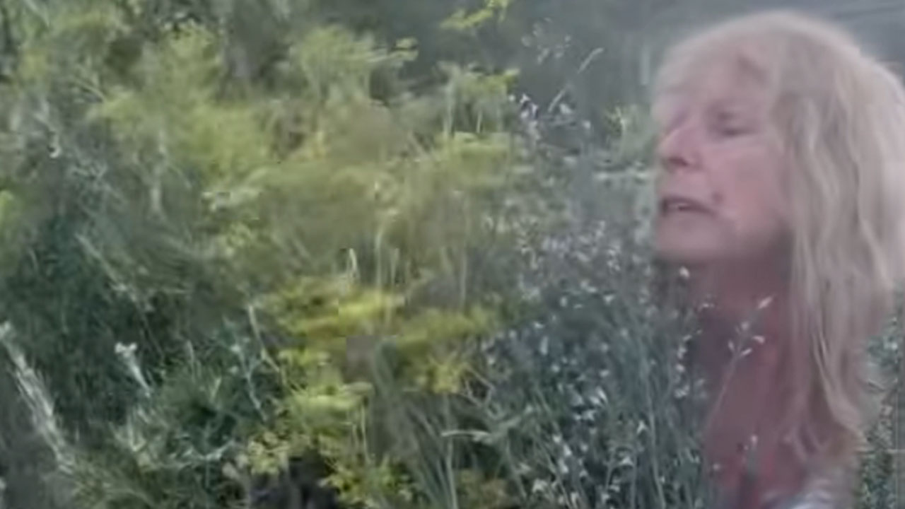 Zvezdana Mlakar je delila svojo izkušnjo s sepso, ob kateri se je borila za življenje