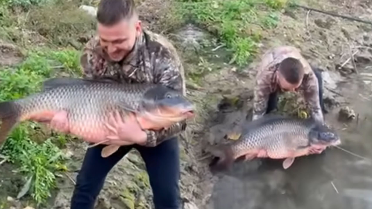 Srbski ribič je v reki Tamiš ujel 26-kilogramskega krapa in ga izpustil nazaj na svobodo