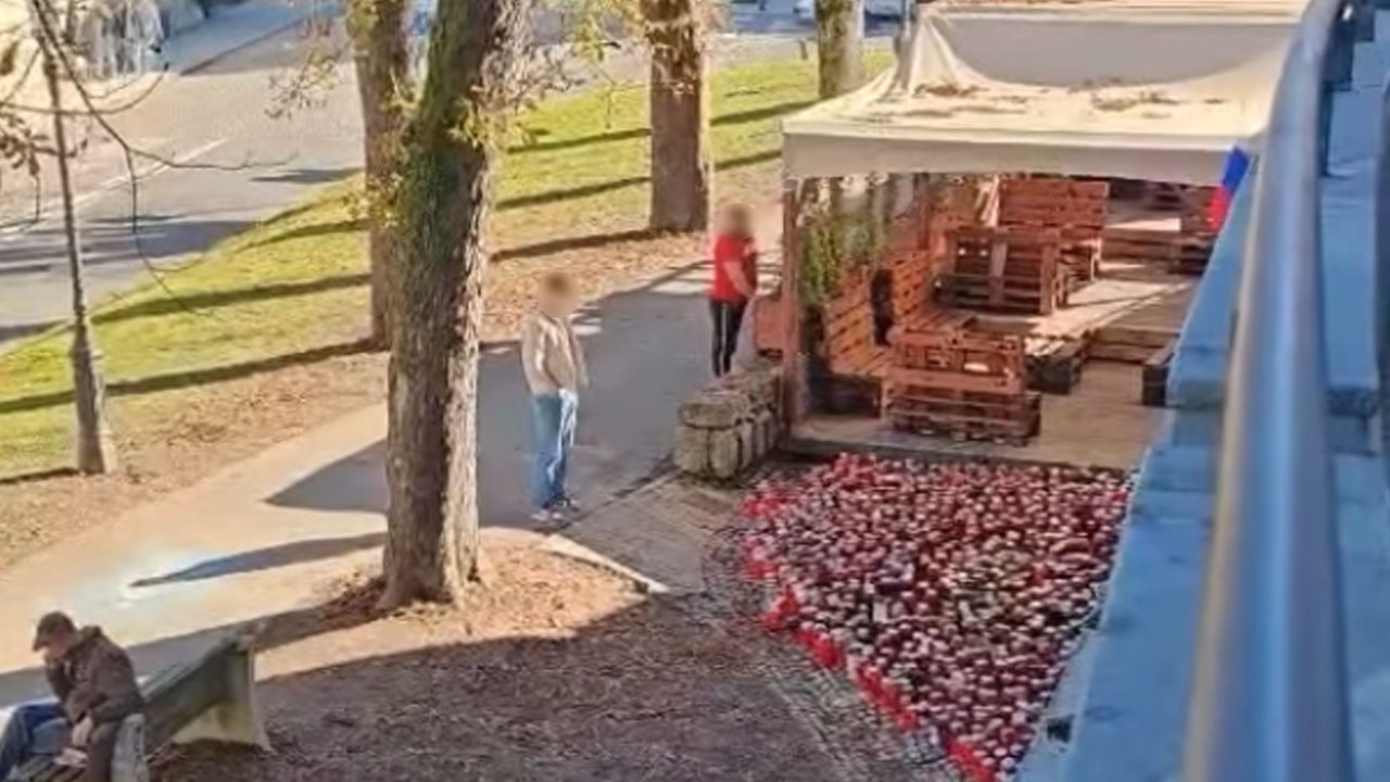 Posnetek incidenta, do katerega je danes ob 12:30 prišlo pred Lokalom Patriot v Novem mestu