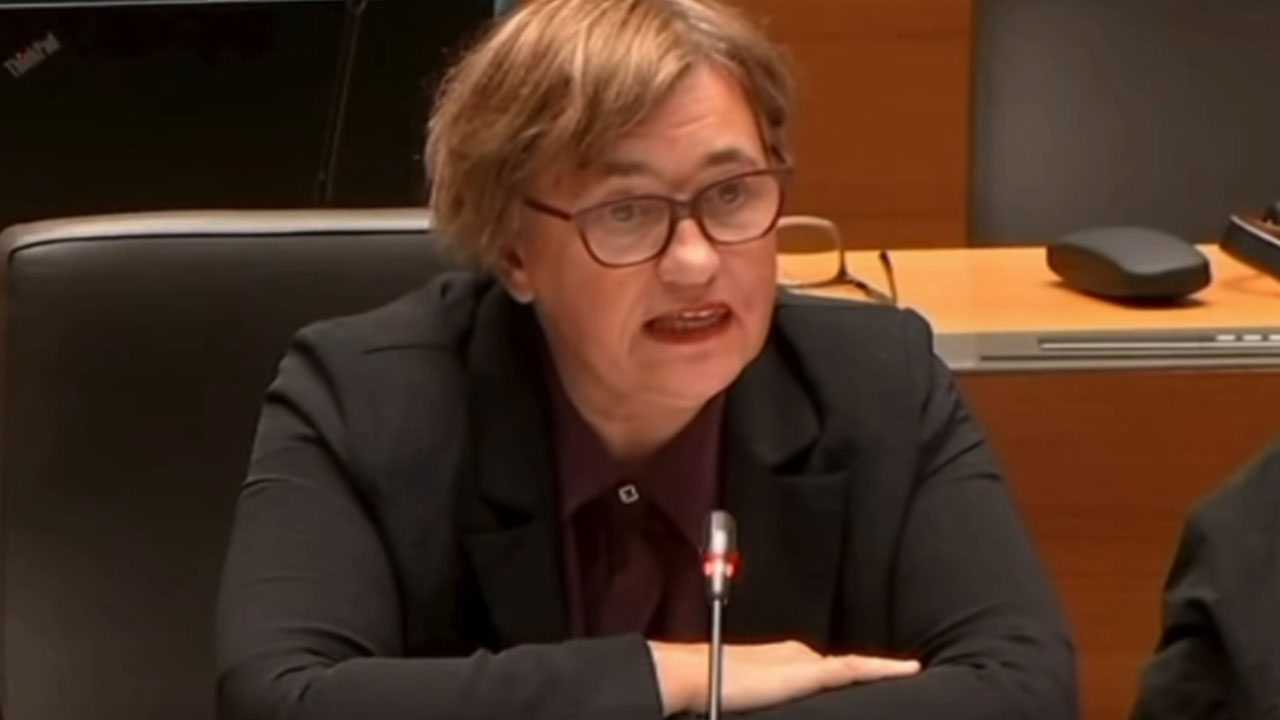 Izjava poslanke Nataše Sukič, tragedija se je na Dolenjskem zgodila zaradi nerodnega padca