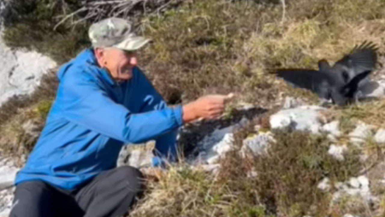 Janez Janša si je v visokogorju privoščil Goloba