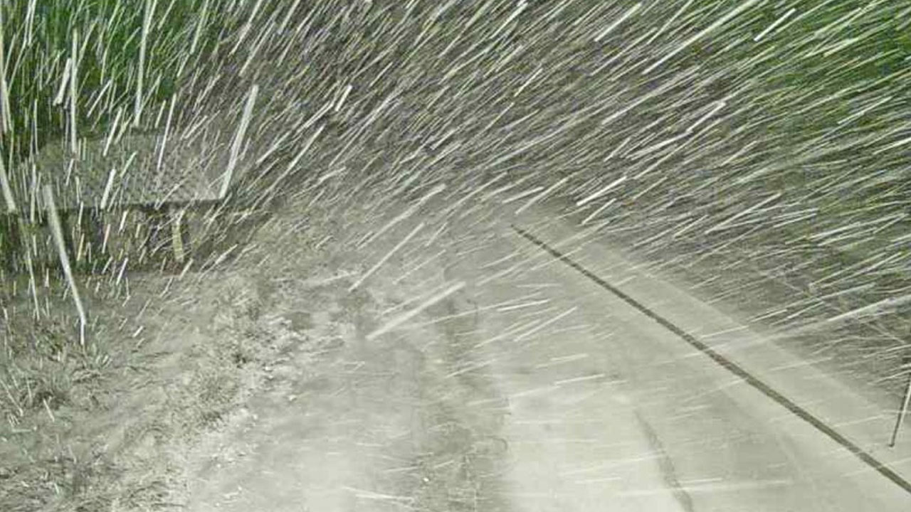 Slovenijo zajelo prvo sneženje, ponoči sneg dosegel tudi nižine