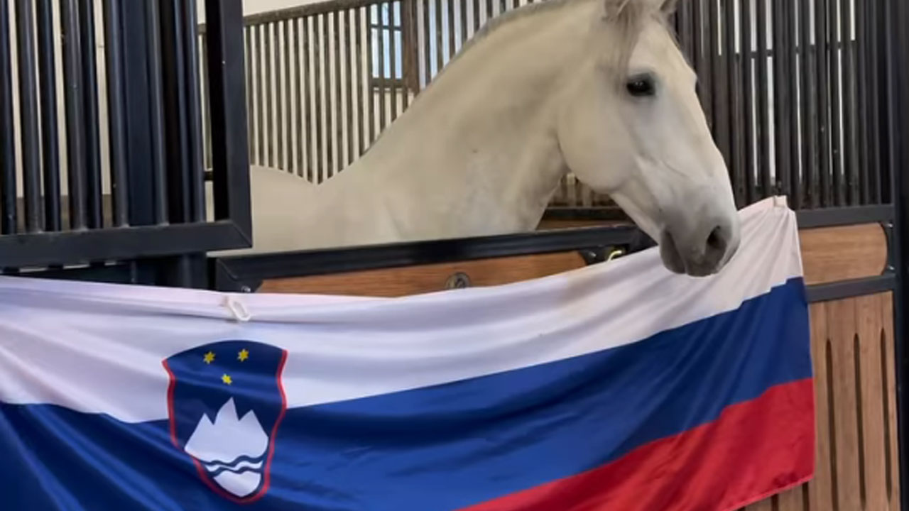 V Kobilarni Lipica pripravili poklon za Domna Prevca