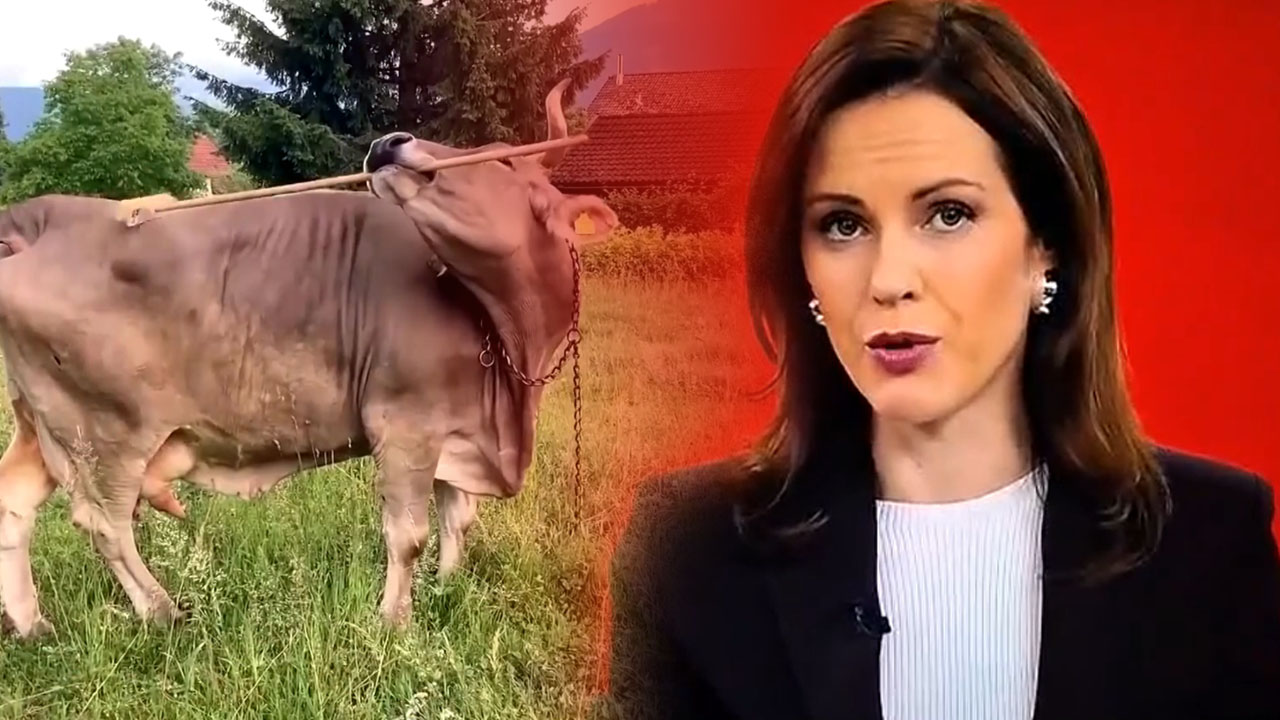 Voditeljica Nuša Lesar doživela kiks med oddajo Svet na Kanalu A