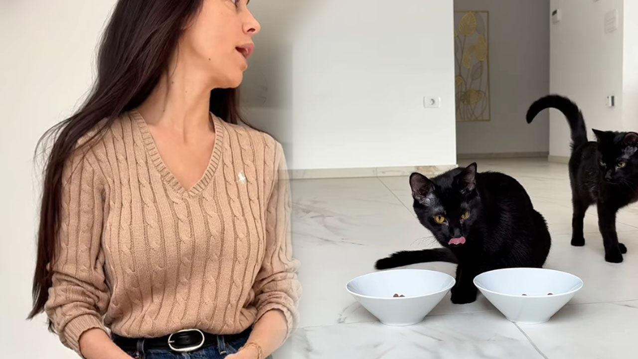 Tina Gaber z mačkoma Panterjem in Jaguarjem, posvojena mucka s posebno zgodbo prijateljstva