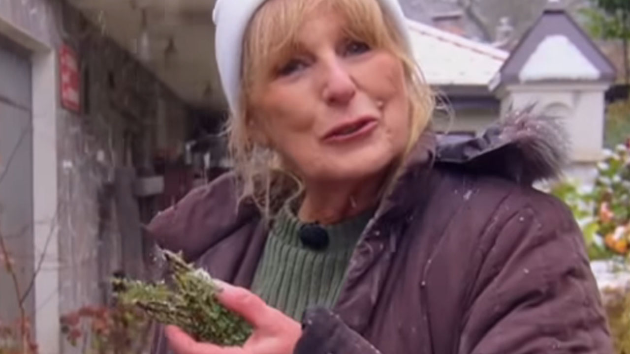 Zvezdana Mlakar v svojem domu na kmetiji, kjer je obdana z živalmi – Riba, raca, rak na Planet TV