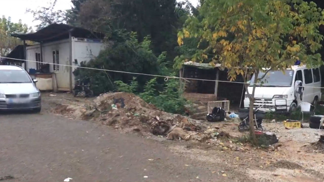 Policijska preiskava po streljanju v naselju Brezje v Novem mestu