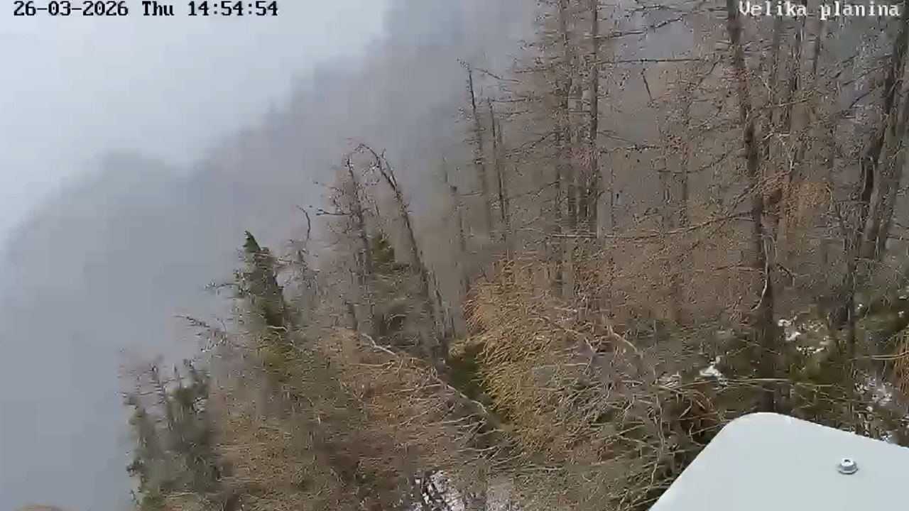 Močan veter na Veliki planini podiral drevesa ob hotelu Šimnovec – prizor ujela nadzorna kamera