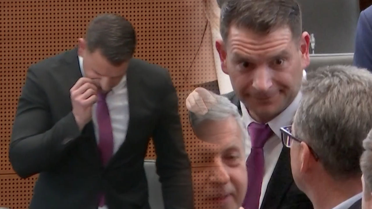 Zoran Stevanović po izvolitvi predsednika v DZ vzel fugo