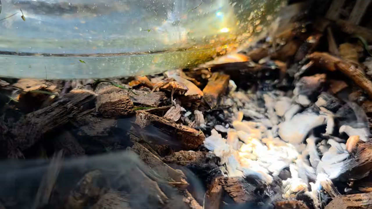 Posnetek Ivana Esenka prikazuje, kako sončni žarki skozi steklenico z vodo žgejo lesne sekance na vrtu