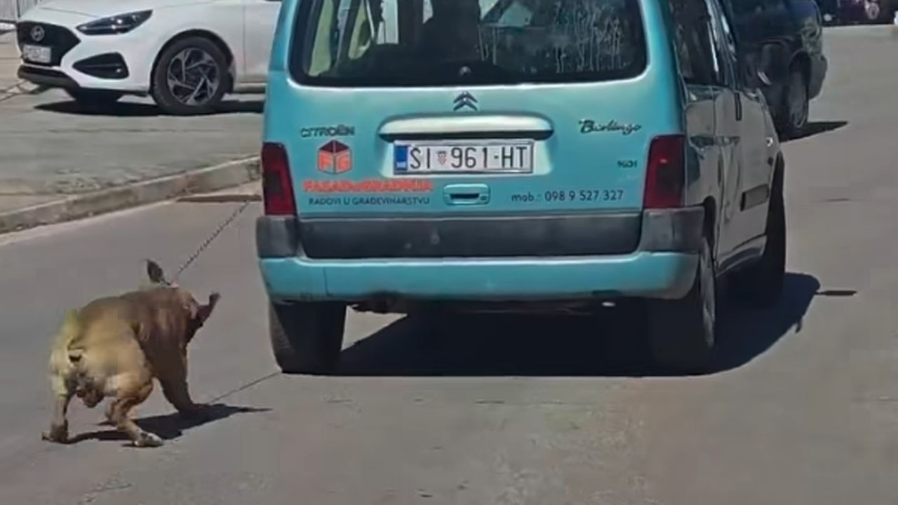 Prizor iz Šibenika, kjer moški z avtomobilom za seboj po cesti vleče psa na verigi