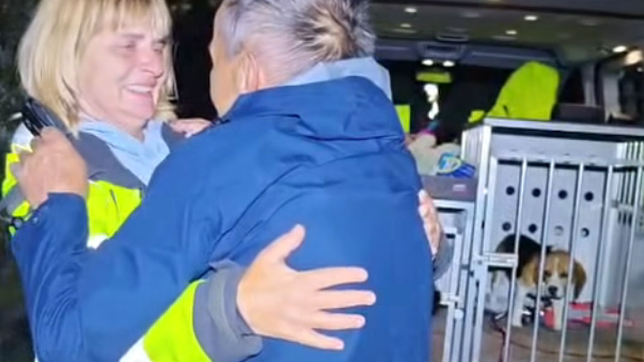 Veselje lastnika sredi noči, ko je društvo K9 našlo pogrešanega beagla po imenu Piki