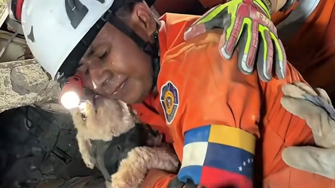 Ganljiv trenutek iz Venezuele, po petih dneh rešili psičko