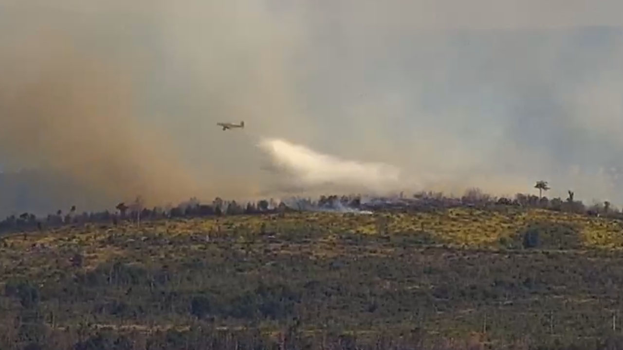 Gasilska letala Air Tractor pomagajo pri gašenju požara v Brestovici pri Komnu