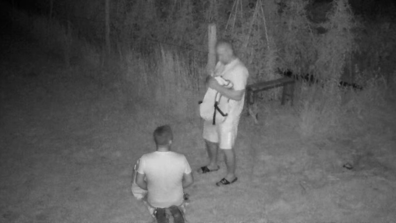 Dva moška v ponedeljek zvečer ukradla večjo količino paradižnika 