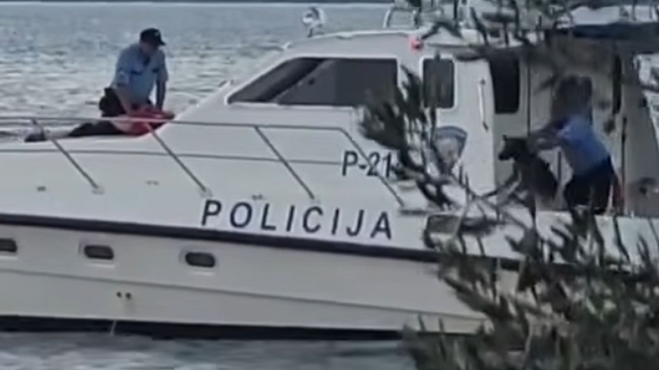 Policist med posredovanjem na Pašmanu vrgel psa s policijskega čolna v morje