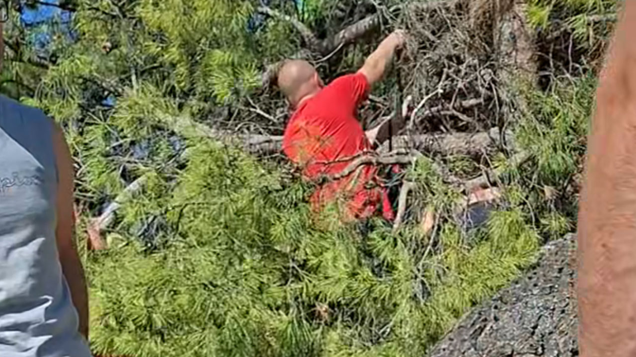 Padec drevesa na plaži Balustrada v Crikvenici poškodoval štiri ljudi