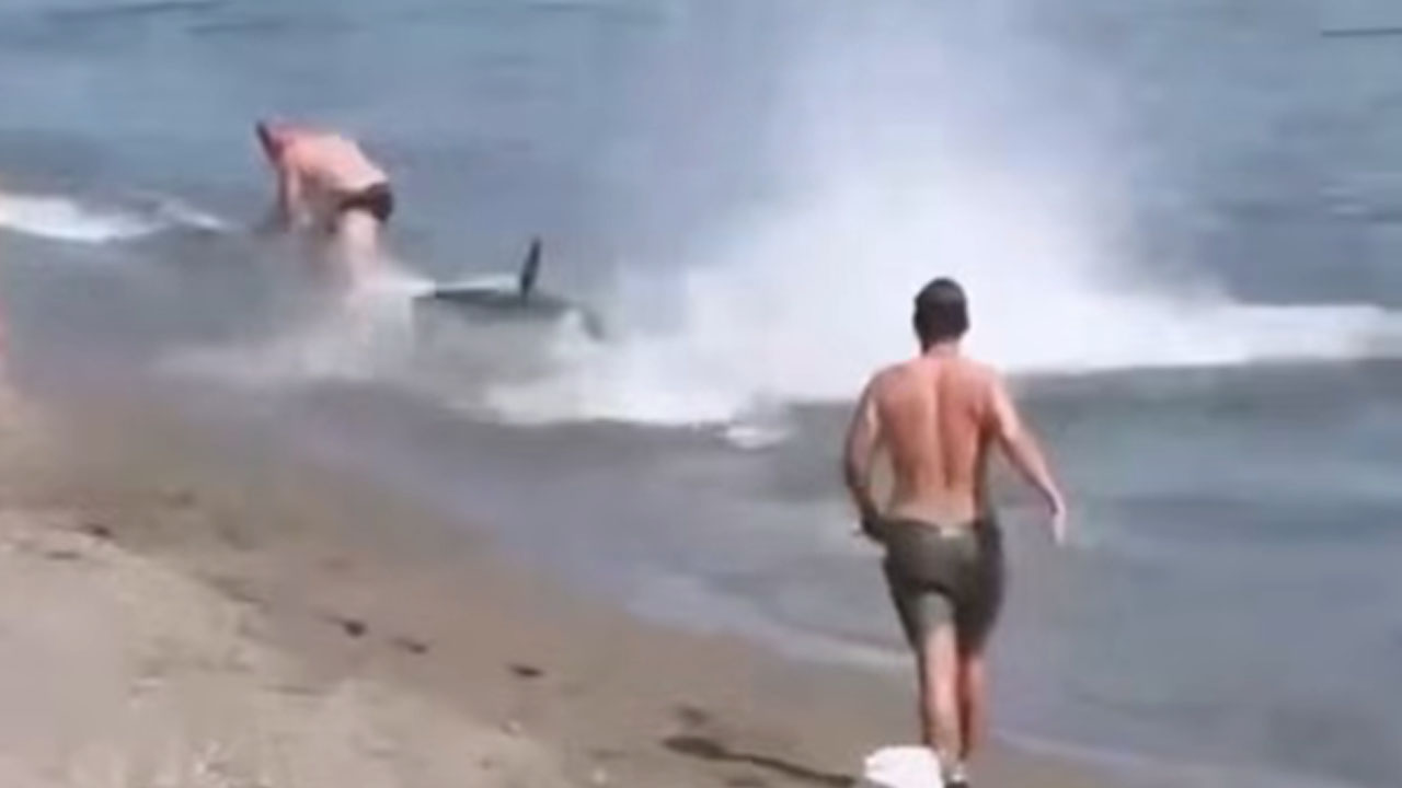 Ogromna tuna je priplavala do plaže v Marbelli in prestrašila kopalce